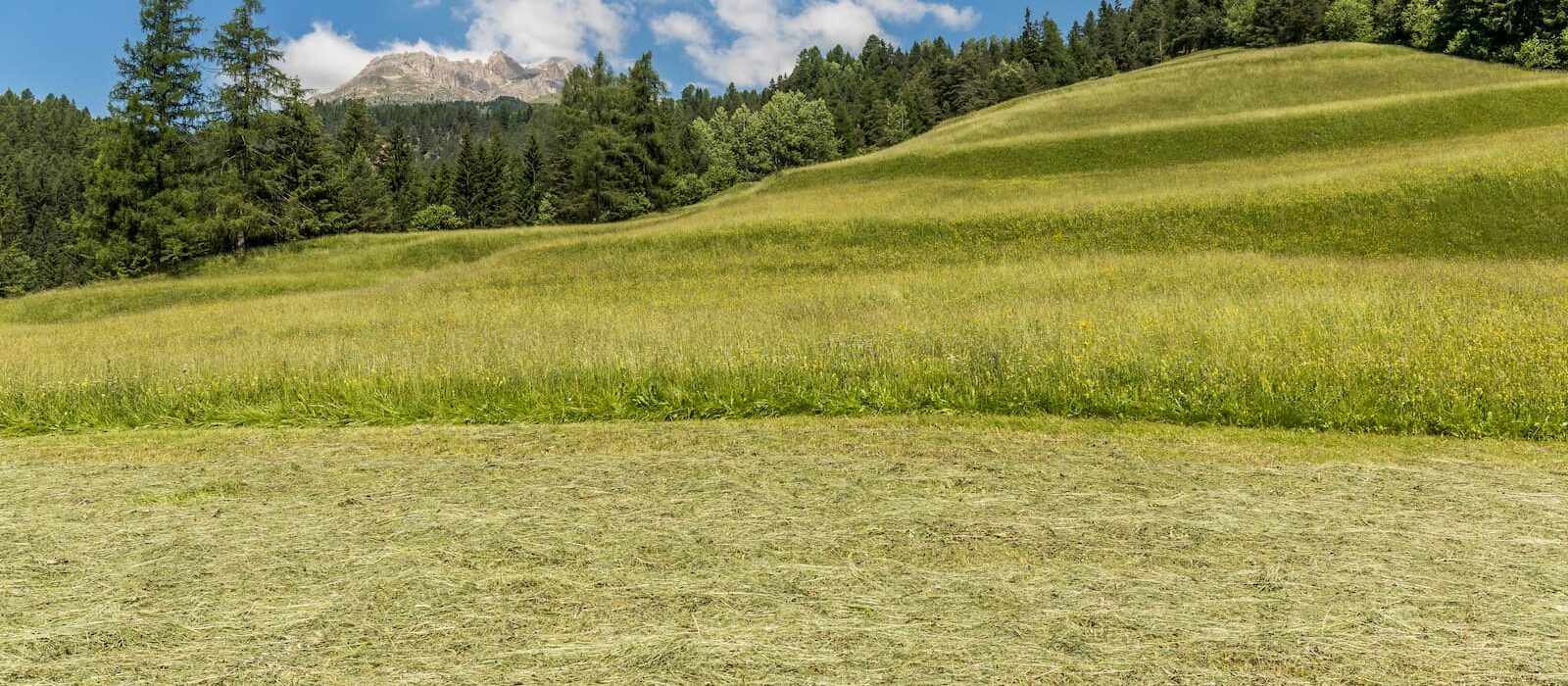 Prato e Fieno in Val di Fassa a Ciasa dò Parè