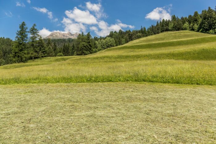 Prato e Fieno in Val di Fassa a Ciasa dò Parè